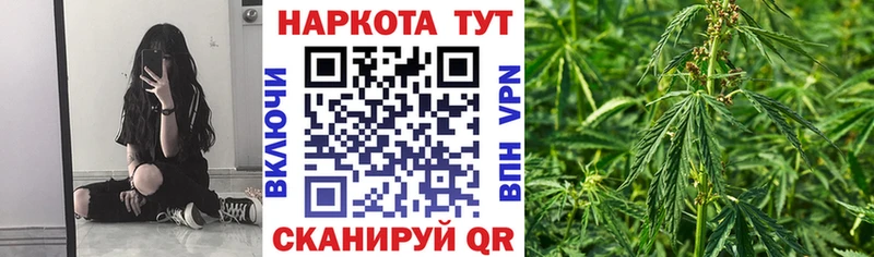  Cocaine Могоча