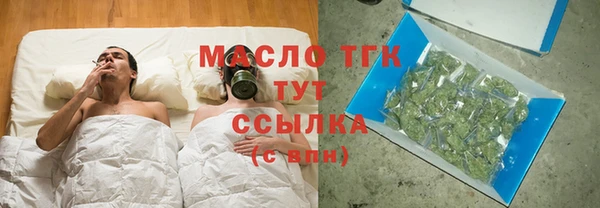 мдпв Гусь-Хрустальный