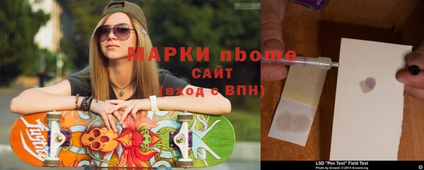 тгк Дмитров