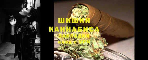 мдпв Гусь-Хрустальный