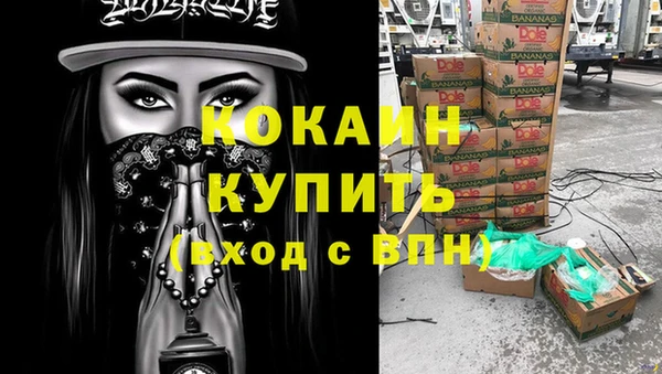 мдпв Гусь-Хрустальный