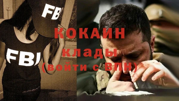 тгк Дмитров