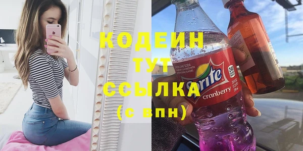 мдпв Гусь-Хрустальный