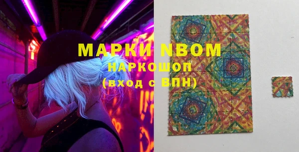 молекула духа Гусиноозёрск