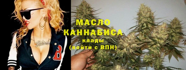 мдпв Гусь-Хрустальный