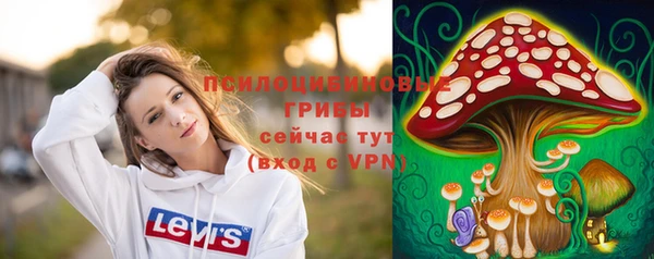 мдпв Гусь-Хрустальный
